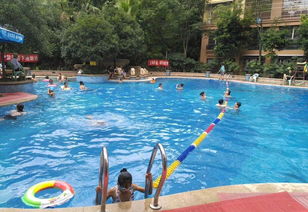 2019资阳耍水攻略 承包你的夏日清凉，畅游游泳池